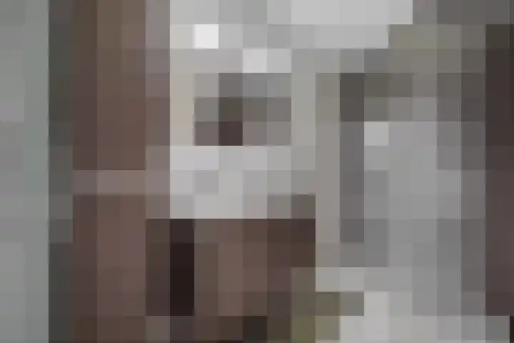 Draversdyk 9 Rien thumbnail 27
