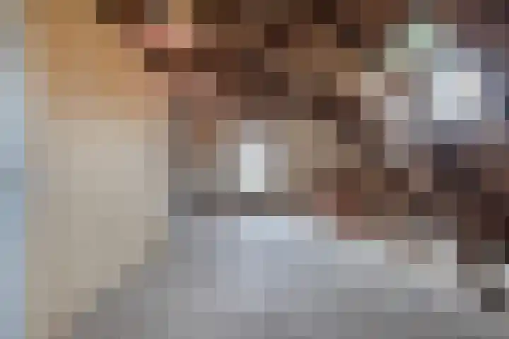 Draversdyk 9 Rien thumbnail 40