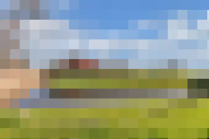 Draversdyk 9 Rien thumbnail 44