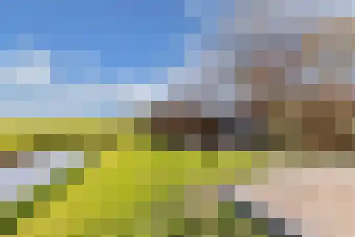 Draversdyk 9 Rien thumbnail 45