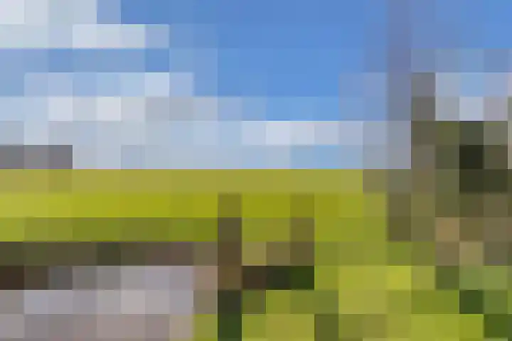 Draversdyk 9 Rien thumbnail 46