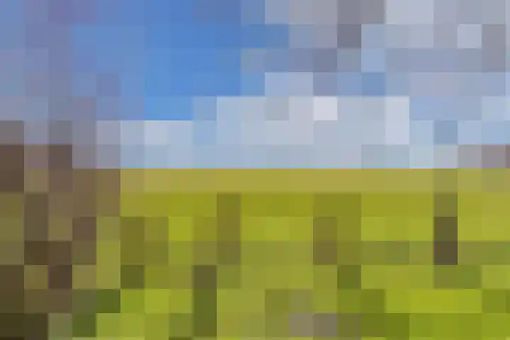 Draversdyk 9 Rien thumbnail 48
