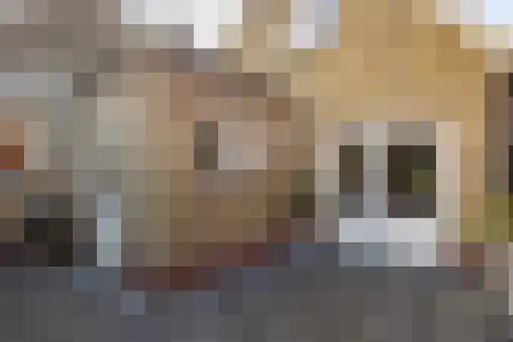 Draversdyk 9 Rien thumbnail 50