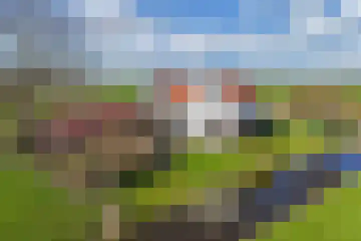 Draversdyk 9 Rien thumbnail 50