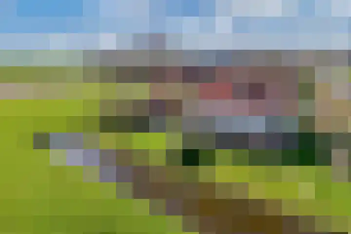 Draversdyk 9 Rien thumbnail 51