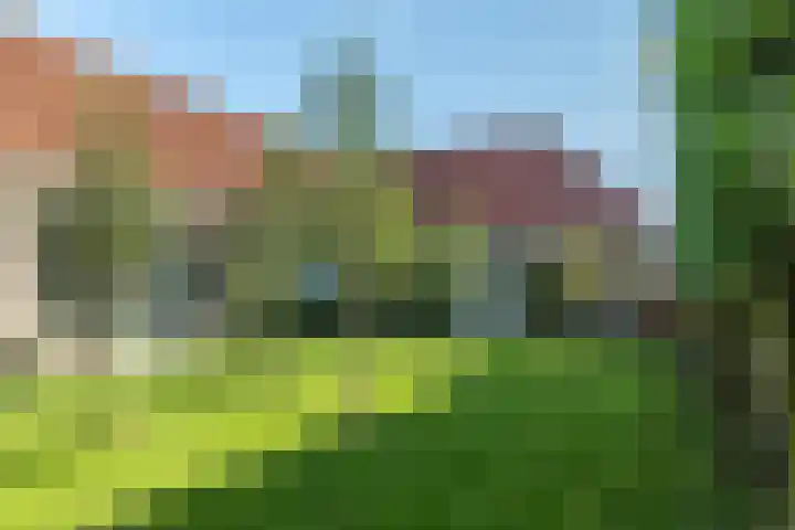 Draversdyk 9 Rien thumbnail 52