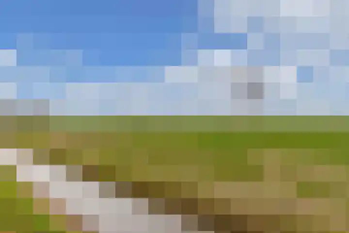 Draversdyk 9 Rien thumbnail 52