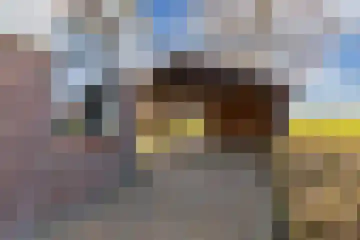 Draversdyk 9 Rien thumbnail 54