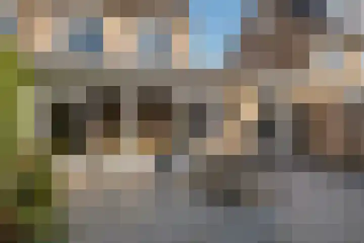 Draversdyk 9 Rien thumbnail 56
