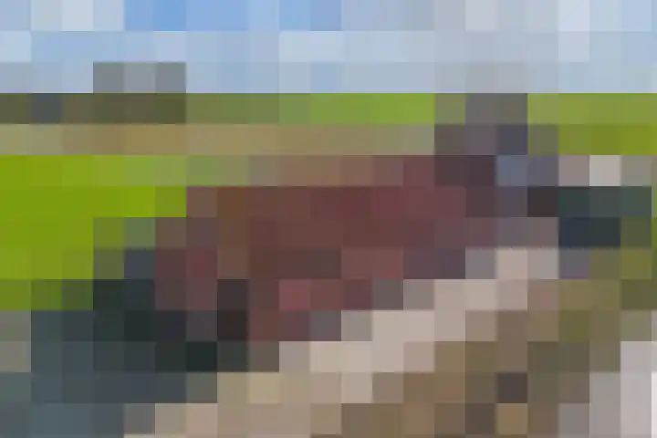 Draversdyk 9 Rien thumbnail 58