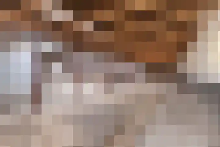 Draversdyk 9 Rien thumbnail 61