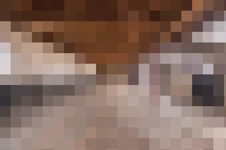 Draversdyk 9 Rien thumbnail 62