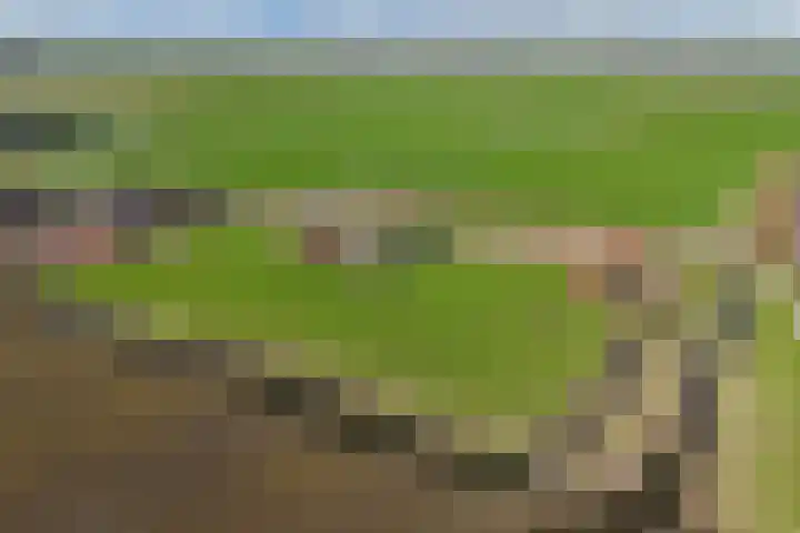 Draversdyk 9 Rien thumbnail 63