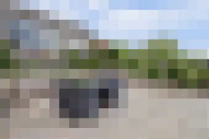 Draversdyk 9 Rien thumbnail 65