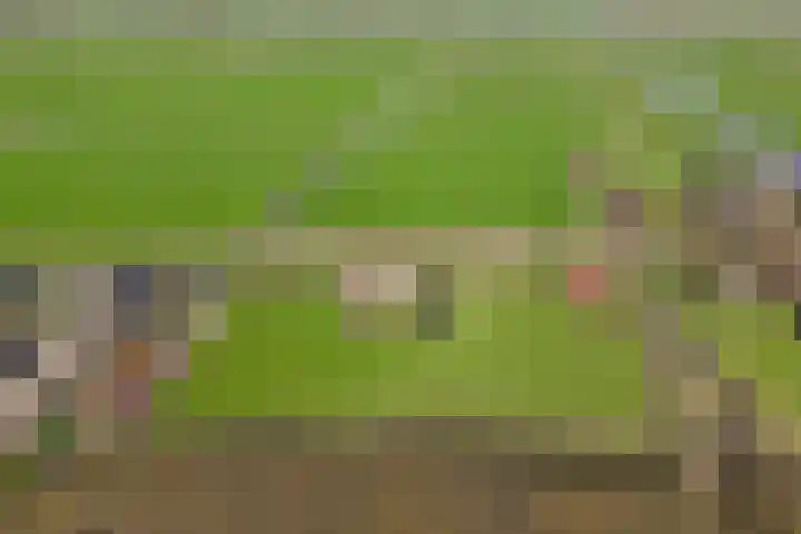 Draversdyk 9 Rien thumbnail 65
