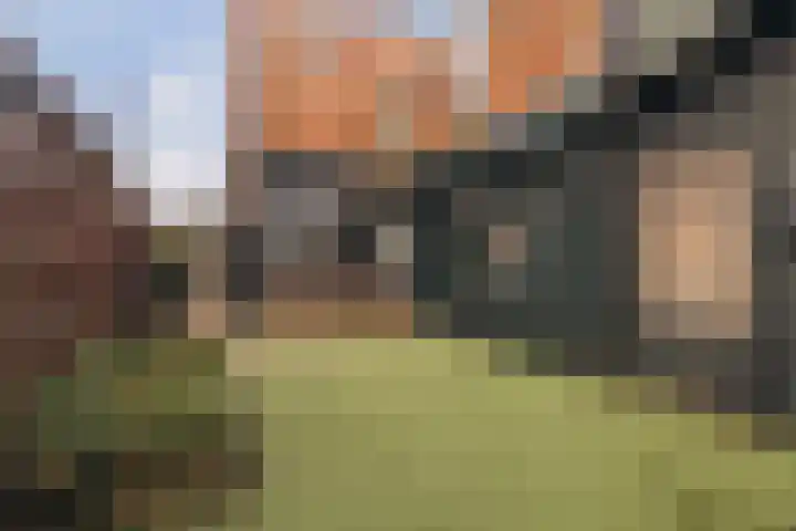 Draverslaan 24 Hoofddorp thumbnail 32
