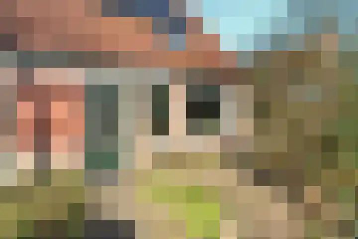 Dravik 27 Malden foto 2