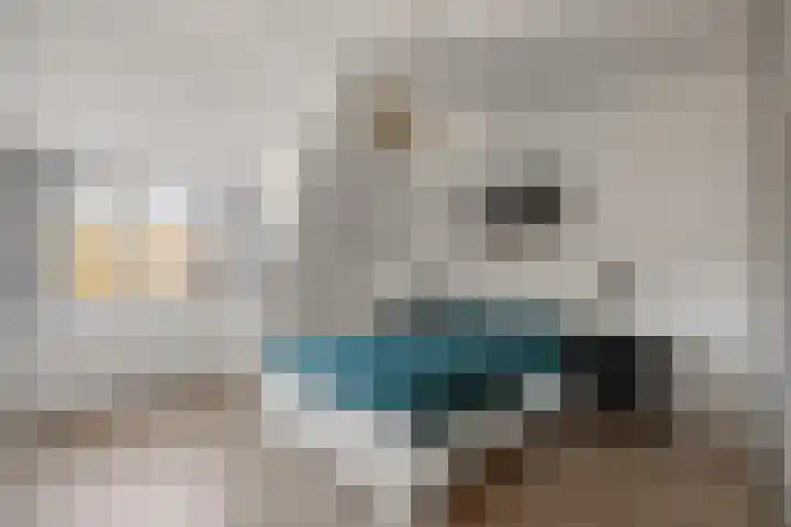 Dravik 27 Malden thumbnail 23