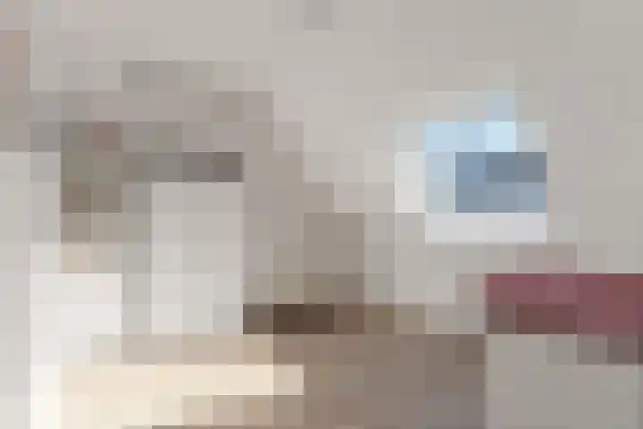 Dravik 27 Malden thumbnail 25