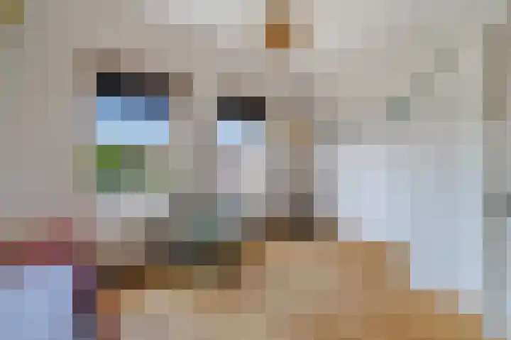 Dravik 27 Malden thumbnail 8