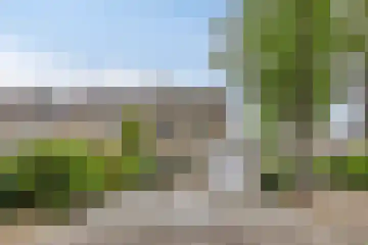 Draviklaan 2 Nuenen
