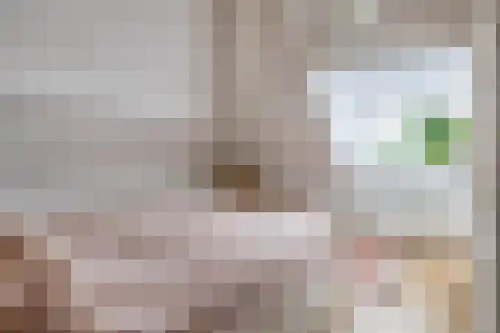 Dreef 1 Berkenwoude thumbnail 34