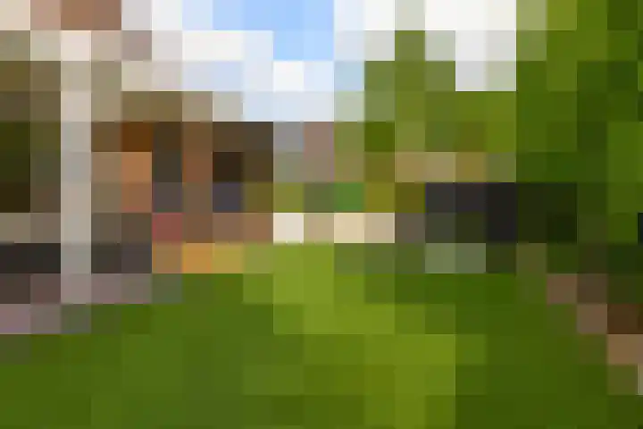 Dreef 1 Berkenwoude thumbnail 51