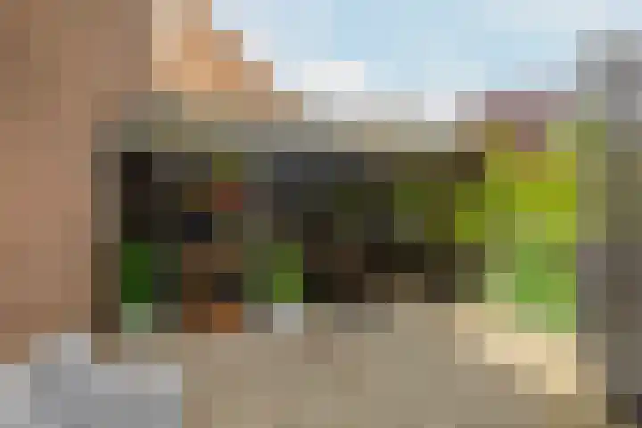 Dreef 1 Berkenwoude thumbnail 56