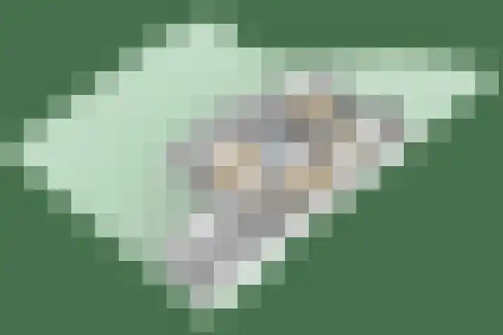 Dreef 1 Berkenwoude thumbnail 59