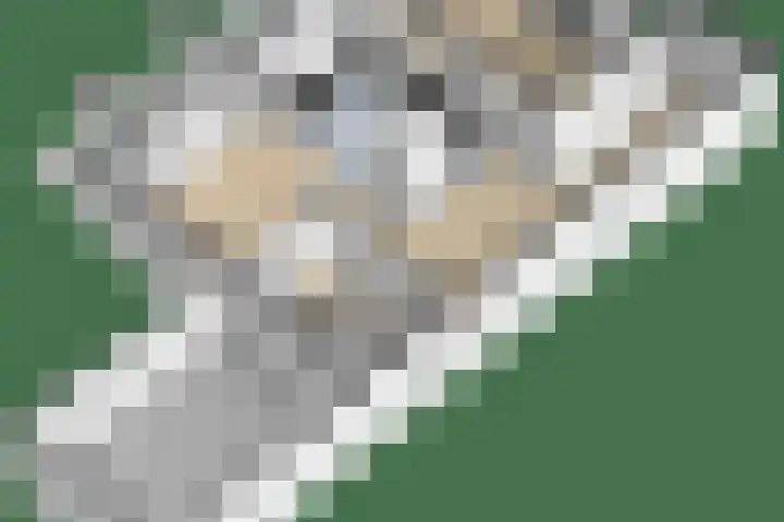 Dreef 1 Berkenwoude thumbnail 61