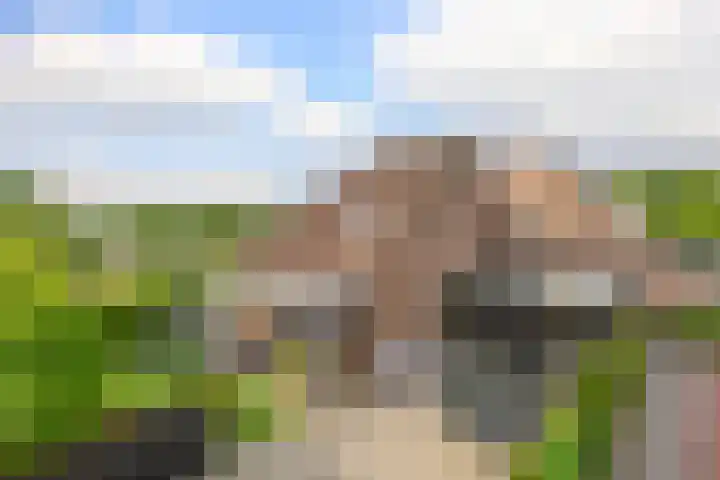 Dreef 1 Berkenwoude thumbnail 66
