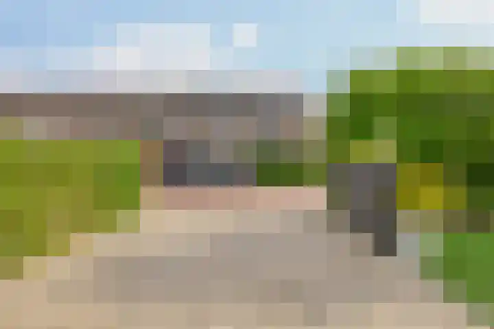 Dreef 1 Berkenwoude thumbnail 9