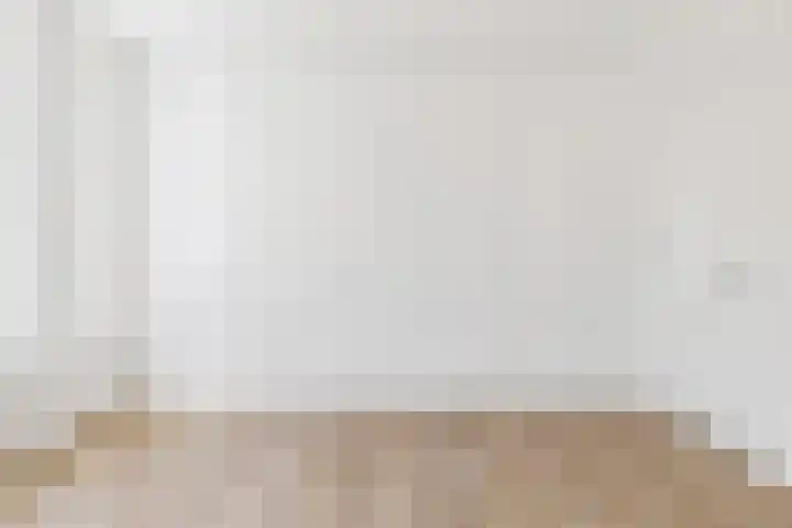 Dreef 10 Breda thumbnail 12