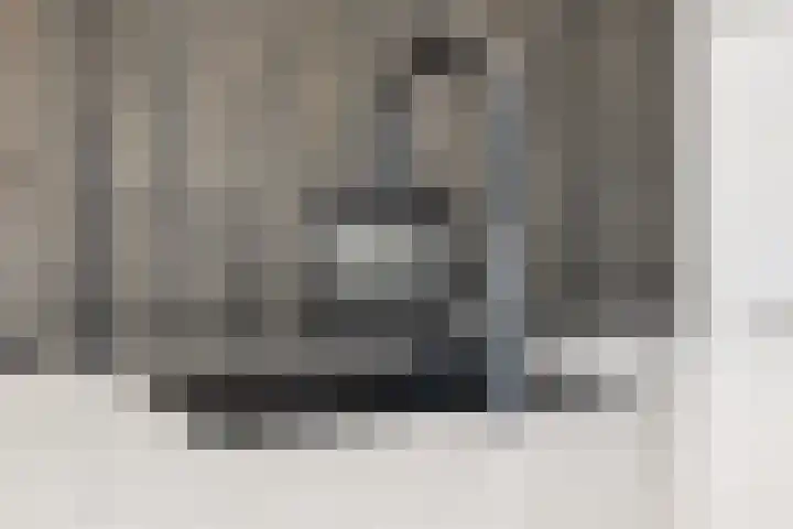 Dreef 10 Breda thumbnail 18