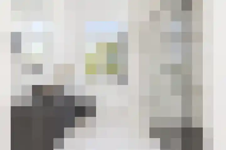 Dreef 10 Breda thumbnail 34
