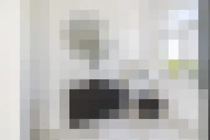 Dreef 10 Breda thumbnail 36