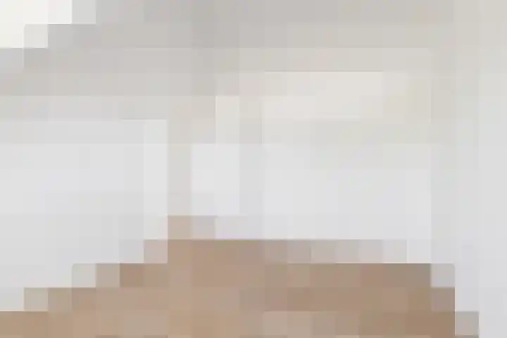 Dreef 10 Breda thumbnail 42