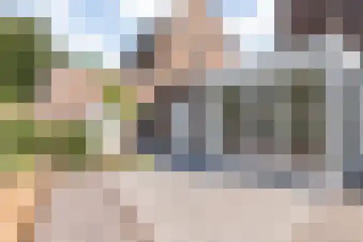 Dreef 10 Breda thumbnail 50