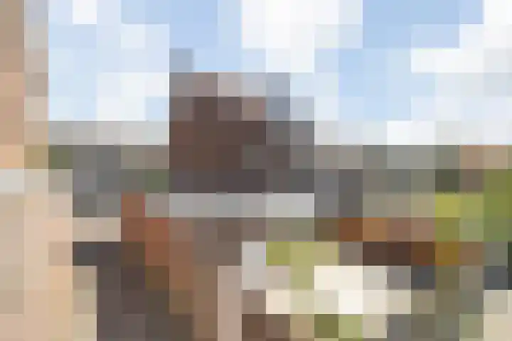 Dreef 10 Breda thumbnail 53