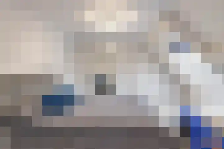 Dreef 116 Hellevoetsluis thumbnail 26