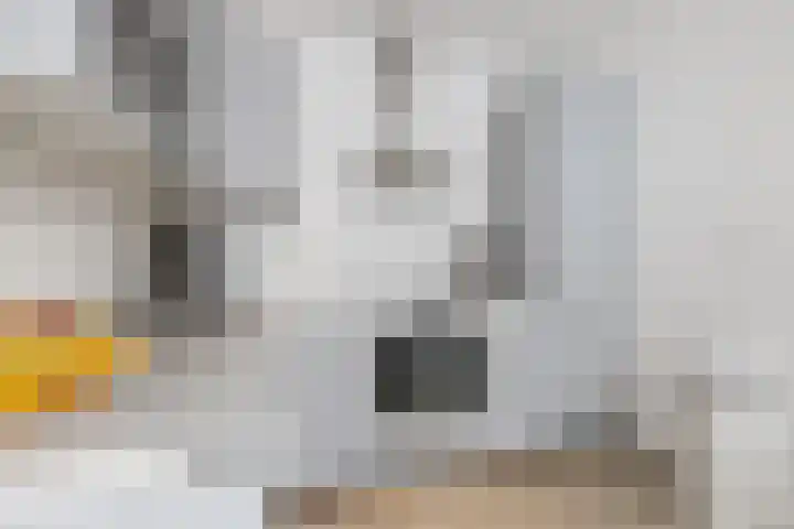 Dreef 116 Hellevoetsluis thumbnail 9