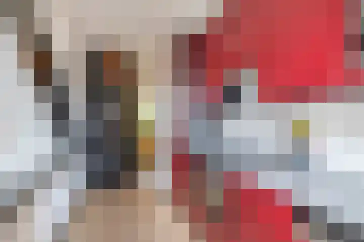 Dreef 118 Gouda thumbnail 15