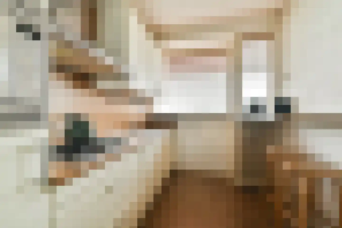 Dreef 118 Gouda thumbnail 24