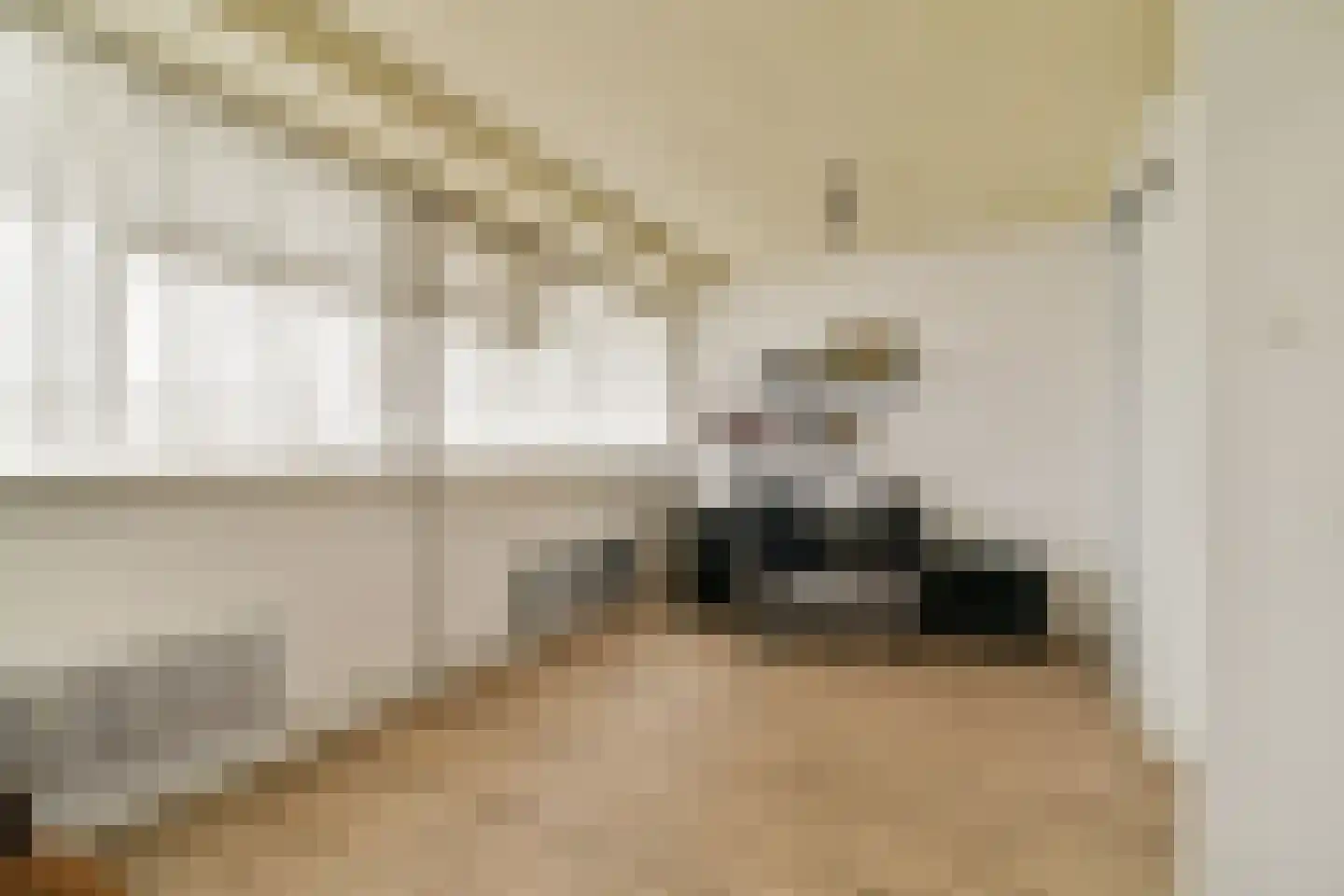 Dreef 118 Gouda thumbnail 27