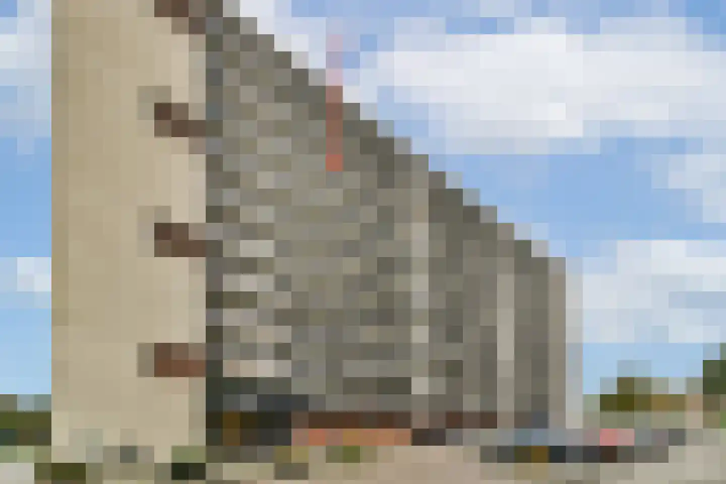 Dreef 118 Gouda thumbnail 6
