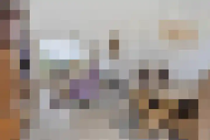 Dreef 118 Leersum thumbnail 7