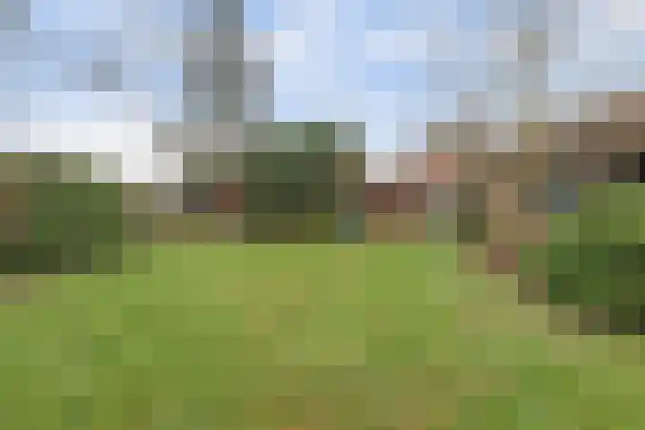 Dreef 12 Well thumbnail 21