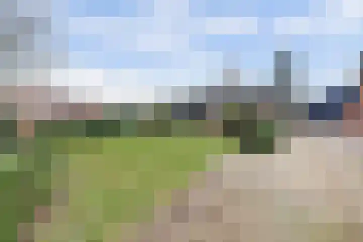 Dreef 12 Well thumbnail 22