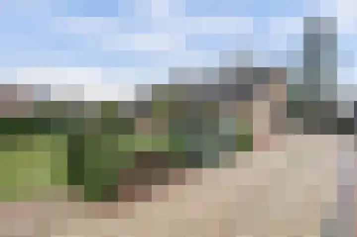 Dreef 12 Well thumbnail 25