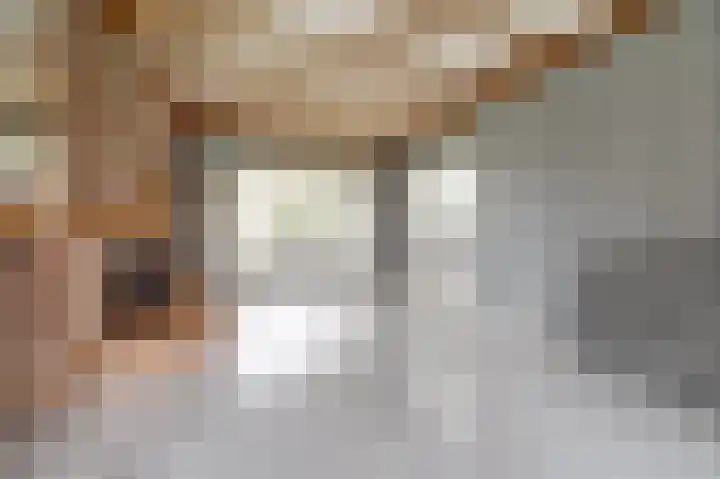 Dreef 12 Well foto 3